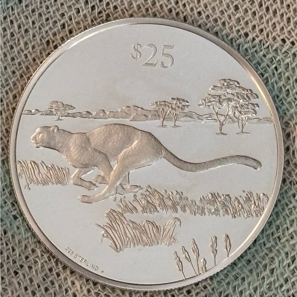 Silver Coin Cheetah 1993 in perfect condition